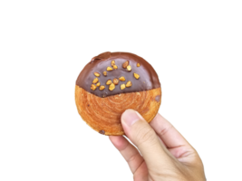 Hand holding round chocolate croissants, homemade. on transparent background png