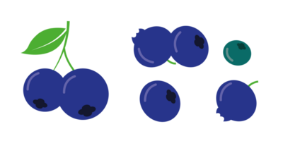 Blueberry logo. Isolated blueberry png