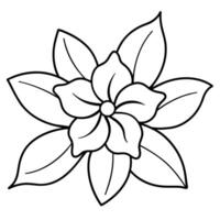 a flower line art illustration vector