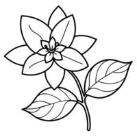 a flower line art illustration vector