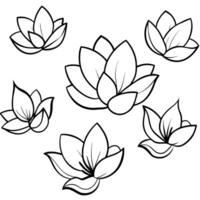 a flower line art illustration vector