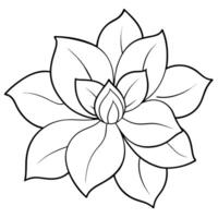 a flower line art illustration vector