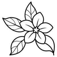 a flower line art illustration vector