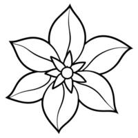 a flower line art illustration vector