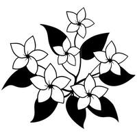 a flower line art illustration vector