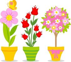 linda primavera vistoso plantas y flores en jardinería ollas. conjunto de vistoso flores en macetas en blanco antecedentes. vector