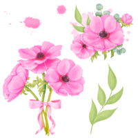 waterverf set. een boeket van roze anemonen, een takje van groen, corsages, en bloemig gekleurd waterverf spatten. voor briefpapier, bruiloft uitnodigingen, groet kaarten, verpakking ontwerp huis decor png