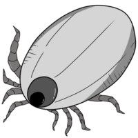 tick created by hand drawing png