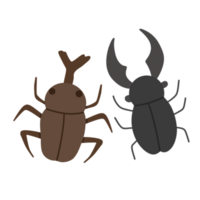 Summer bugs illustration png