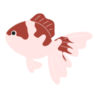 Cute Koi fishes png