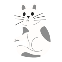 Cute White cat illustration png