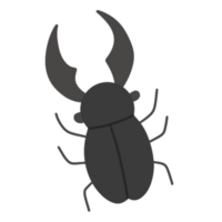 Beetle bugs illustration png