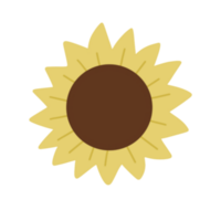 Sol flor em forma png