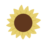 sole fiore sagomato png