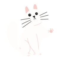 carino bianca gatto illustrazione png