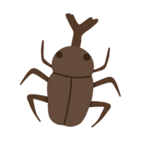 skalbagge buggar insekter png