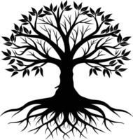 Silhouette of a tree with roots vector