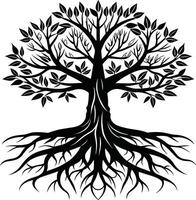 Silhouette of a tree with roots vector