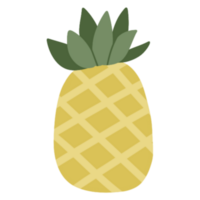 Pineapple summer illustration png