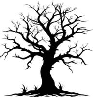 Black dead tree silhouette on white background vector