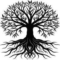 Silhouette of a tree with roots vector