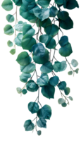 Foliage isolated. Leaves hanging from thin branches isolated png