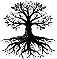 Silhouette of a tree with roots vector