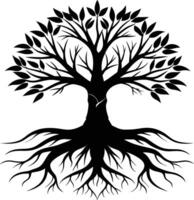 Silhouette of a tree with roots vector