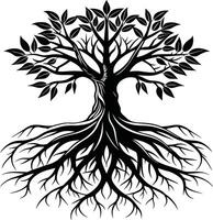 Silhouette of a tree with roots vector