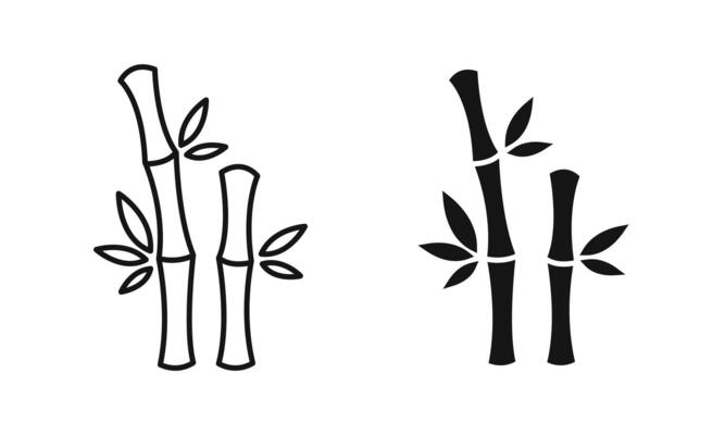 Bamboo plant silhouettes. Bamboo icon set. Bamboo symbols. EPS 10
