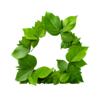 Green eco house icon made of leaves isolated on transparent background, cut out, or clipping path. png