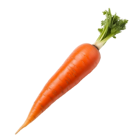 Fresh Carrots Bundle with Transparency png