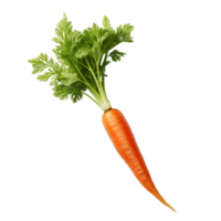 Clear Fresh Carrot Illustrations png