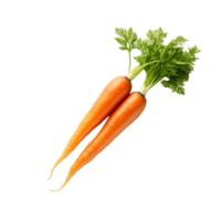 Isolated Transparent Fresh Organic Carrots png