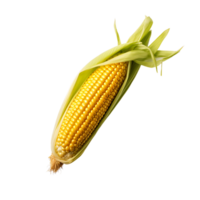 Clear Corn with Background png