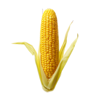 Doorzichtig maïs klem bundel png
