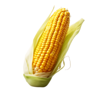 Whole Corn on Transparent Background png