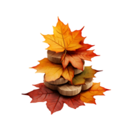 chiaro autunno acero foglia clipart png