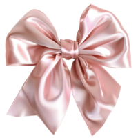 Isolated Decorative Bow Art png