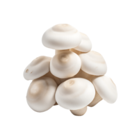 Clear Edible Mushrooms Clip Bundle png