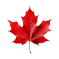 Clear Maple Leaf with Background png