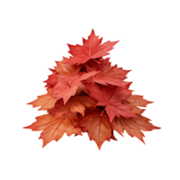 Transparent Maple Leaf Set png