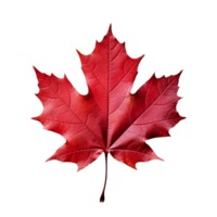 Clear Autumn Maple Leaf Design Kit png