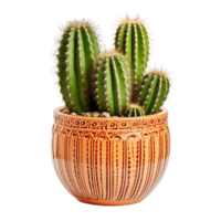 clair mis en pot cactus clipart png