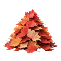 Autumnal Maple Leaf with Transparency png