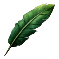 transparent tropisch Banane Blatt png