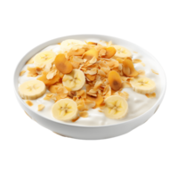 gourmet baunilha pudim tigela banana fatias e crocantes cereal png