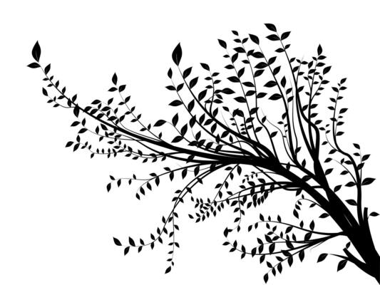 a black and white illustration of a tree branch