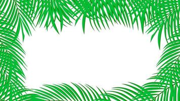 tropical palm leaves frame illustration vector