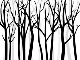 bosque con arboles vector